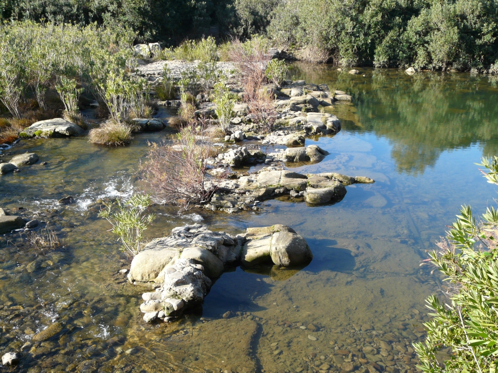 Reserva Natural Fluvial Alto Hozgarganta