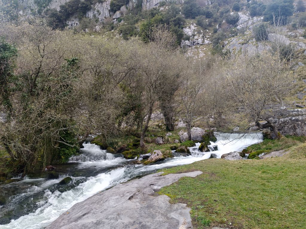 Drenaje difuso del flujo subterráneo en el Nacimiento del río Gándara