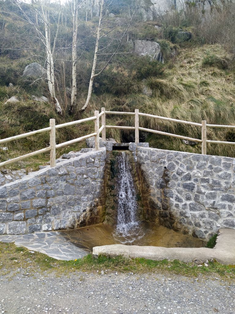 Fuente del Bezón en el límite noreste de la RNS