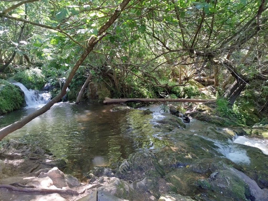 Cascadas del Huéznar. 