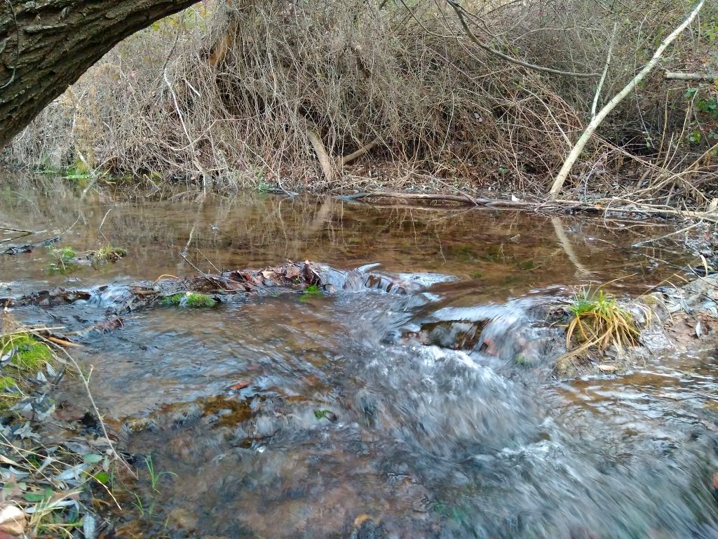 Aº Prado Negro aguas arriba de la confluencia con el Río Fardes. 