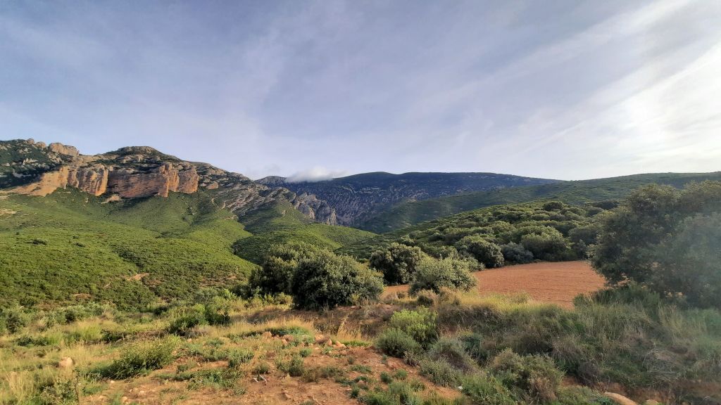 Vista del barranco San Martín, límite occidental de la RNS San Julián de Banzo (Fuenmayor). Autor: TTEC (septiembre 2021)