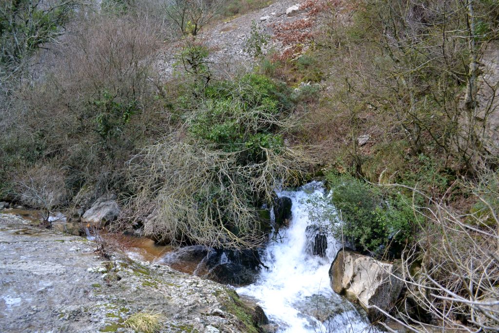 Manantial en el Barranco de Artazu