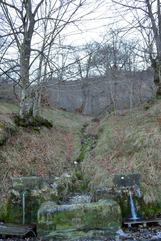 Fuentes y bosque de hayas en la vertiente norte de la RNS.