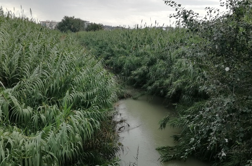 Plan PIMA Río Segura situación inicial