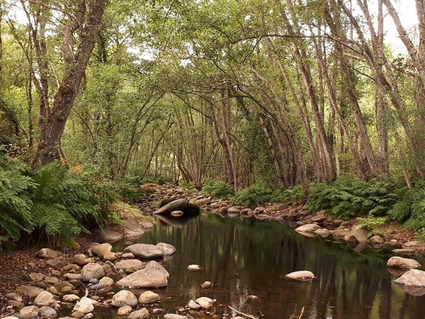 Efectos del cambio climático y el depósito atmosférico en las aguas