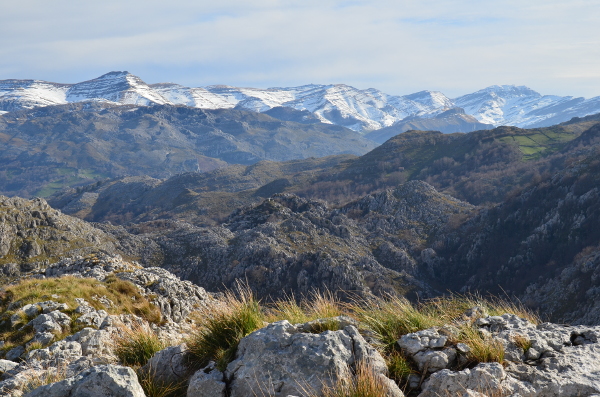 Montaña Oriental de Cantabria