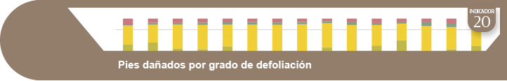 Ampliar información indicador 20