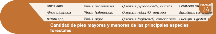 Ampliar información indicador 24