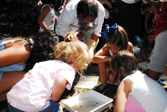 Buscando seres vivos en el agua