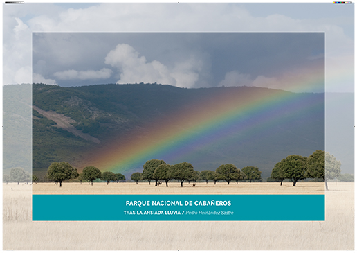 Cabañeros. Tras la ansiada lluvia / Pedro Hernández Sastre