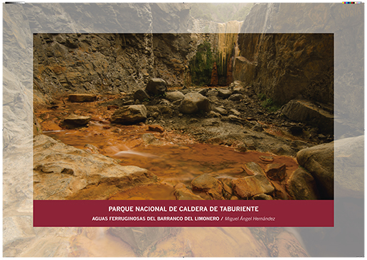 Caldera de Taburiente. Aguas ferruginosas del barranco del limonero / Miguel Ángel Hernández