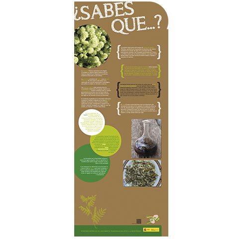 Fase I. Panel 14. ¿Sabes que...? Además de los usos medicinales, las plantas pueden tener otros usos tradicionales.