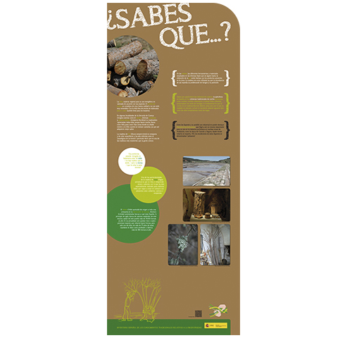 Fase I. Panel 15. ¿Sabías que...? La madera de los árboles se ha empleado como combustible y para fabricar diversos utensilios usados en la vida cotidiana.