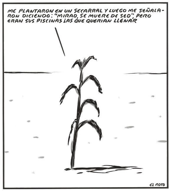 Planta aislada en un secarral que dice: "me plantaron en un secarral y luego me señalaron diciendo ¡mirad, se muere de sed!, pero eran sus piscinas las que querían llenar"