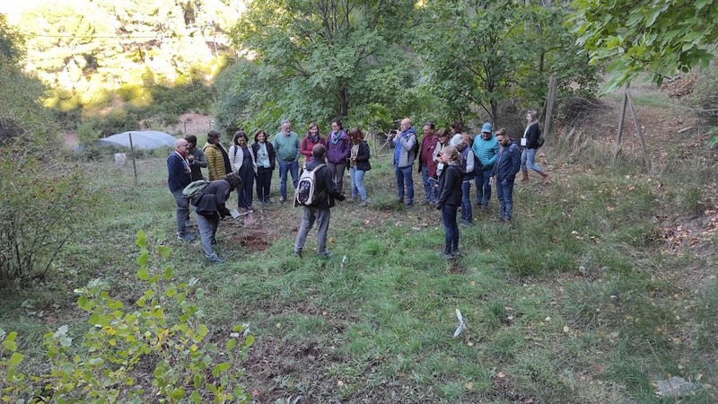 El grupo de participantes alrededor del madroño plantado por Javier Qquendo