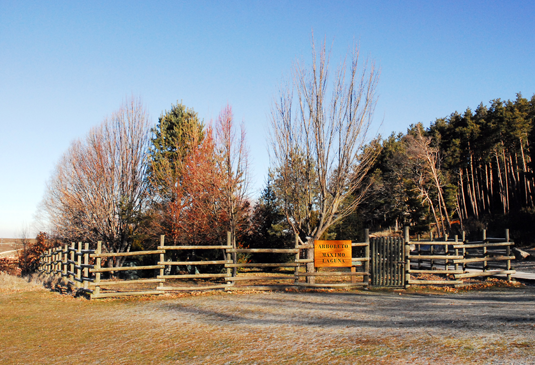 Arboreto en Invierno