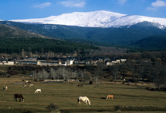 El Parque