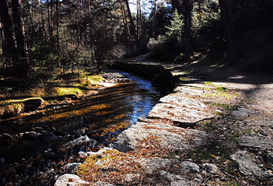 Un paseo por las Pesquerías Reales - Curva en el camino de las Pesquerías Reales