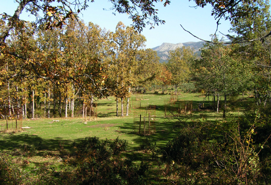 Paraje donde estuvo el Nogal de las Calabazas