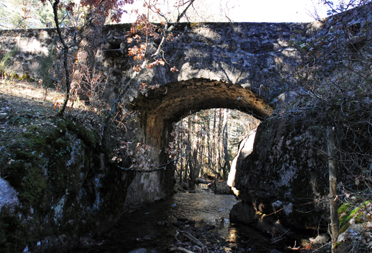 Puente Negro