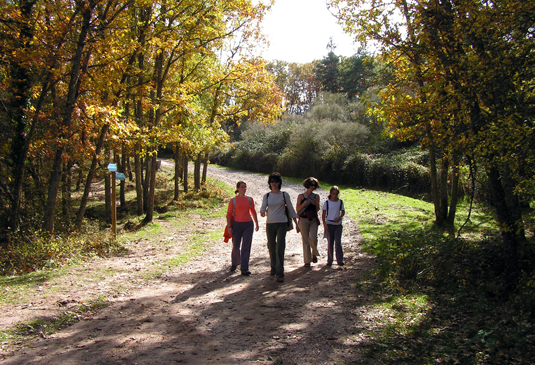 Camino entre los dos puentes