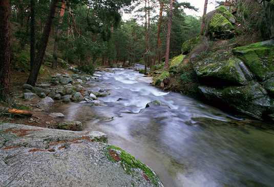 Río Eresma en la proximidades de la Boca del Asno