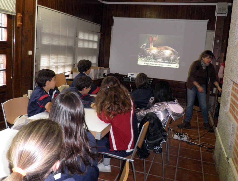 Los alumnos y alumnas observan una proyección donde se observa un conejo