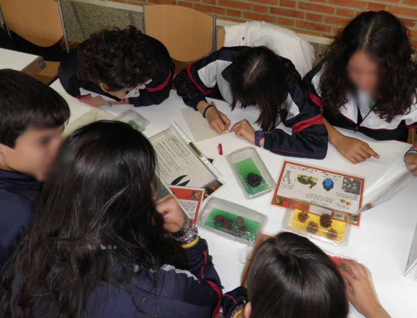 Los alumnos preparan la salida al itinerario repasando las claves y muestras revisadas en el taller