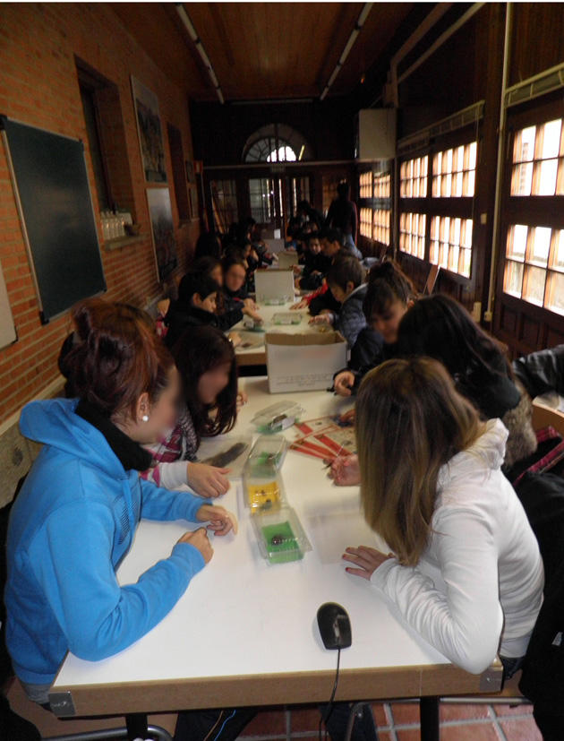 Participantes en el taller durante la sesión de trabajo