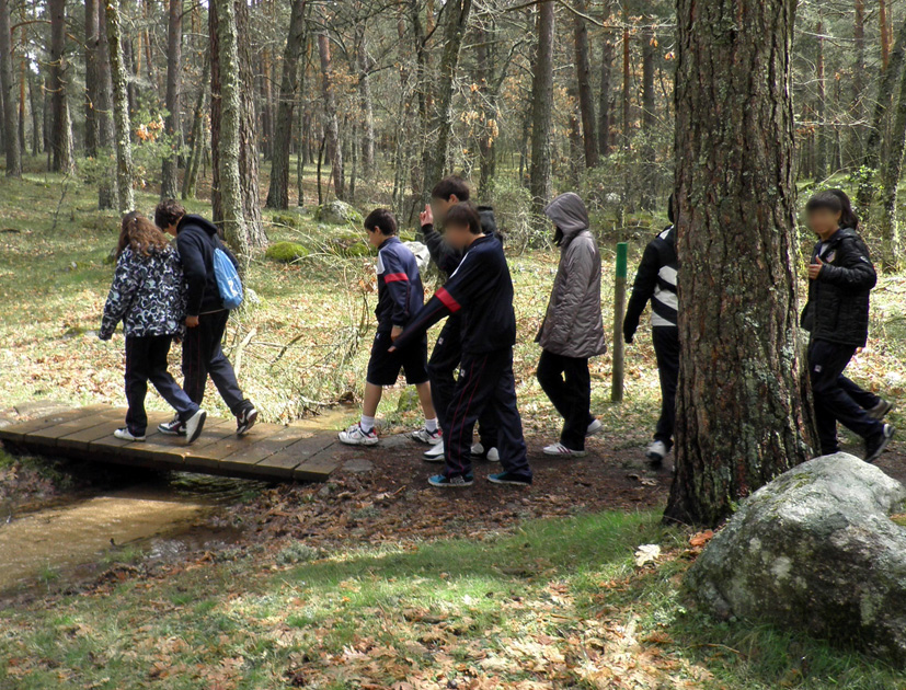 El grupo inicia el itinerario donde podrán poner en práctica lo aprendido en el taller