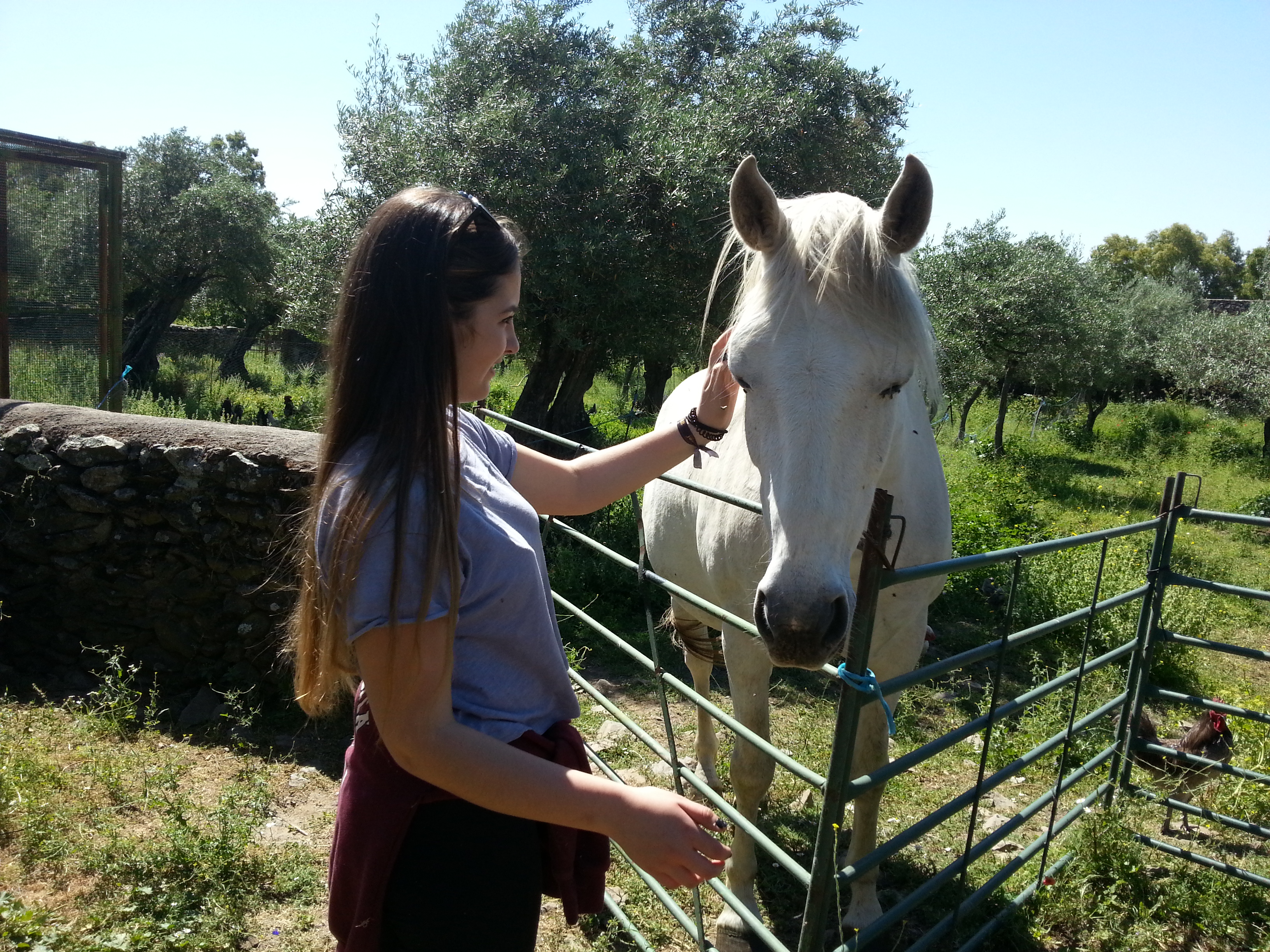 Acariciando al caballo