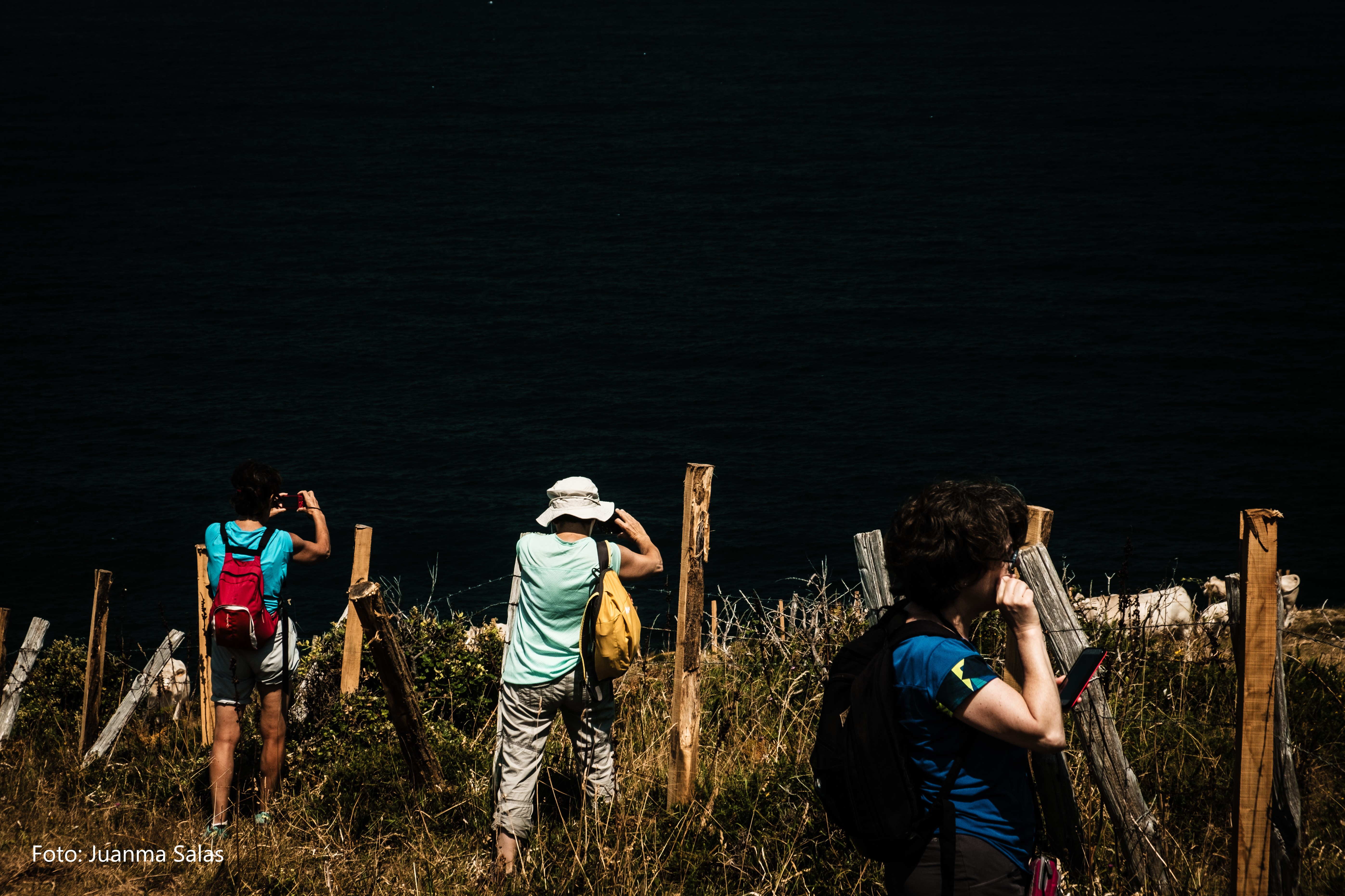 Turistas y vacas en Santander.	Juanma Salas