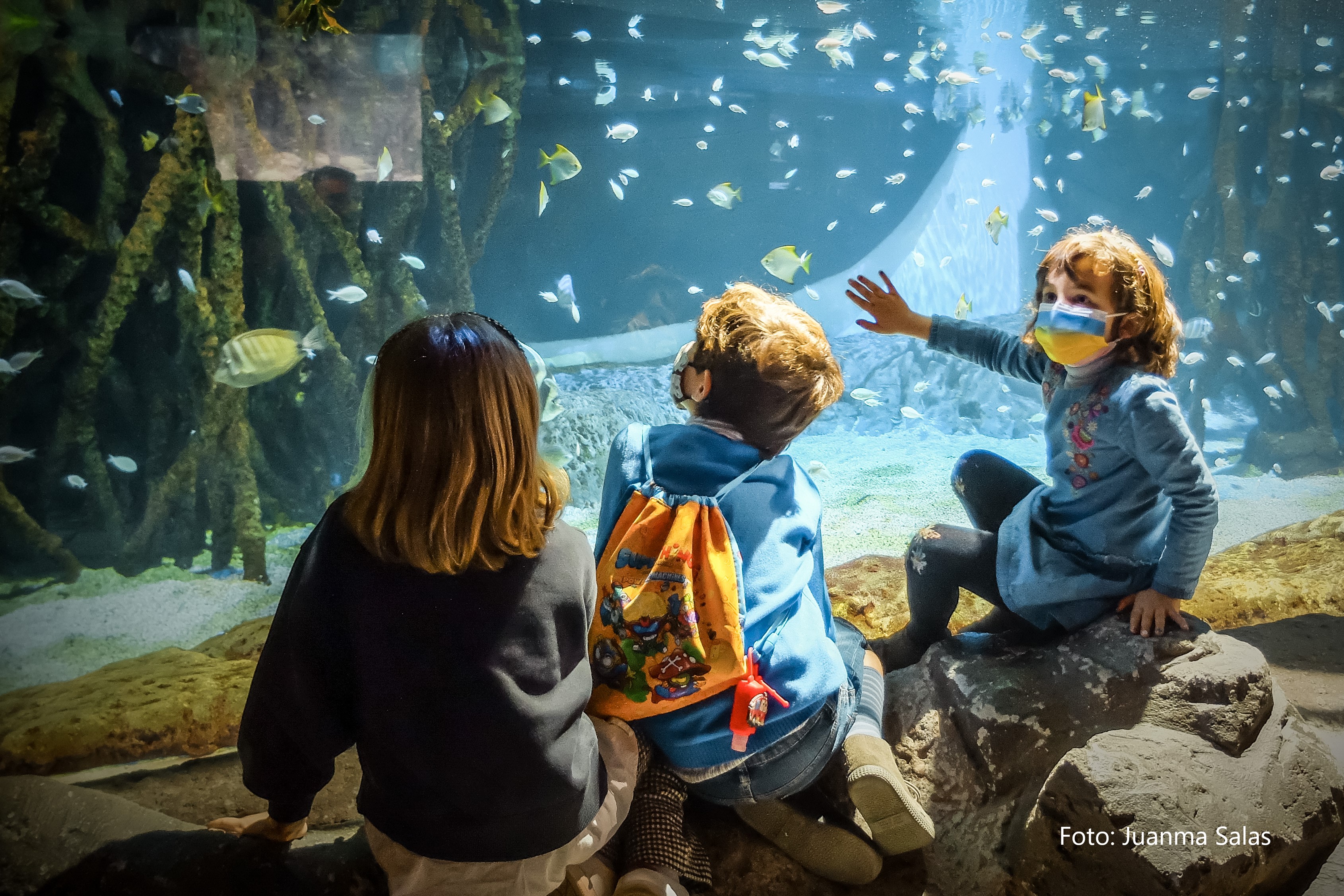 Acuario de Sevilla.	Juanma Salas