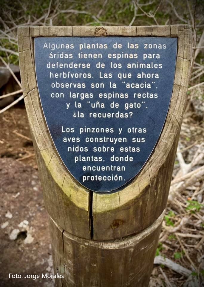 Poste en un sendero de Islas Galápagos.	Jorge Morales