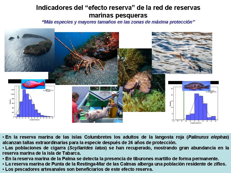 Día Mundial de los Océanos