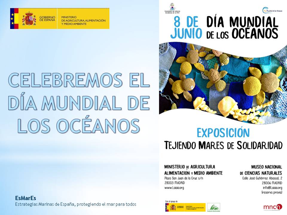 Día Mundial de los Océanos