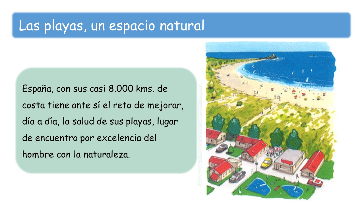 Lo que todos debemos saber sobre las playas