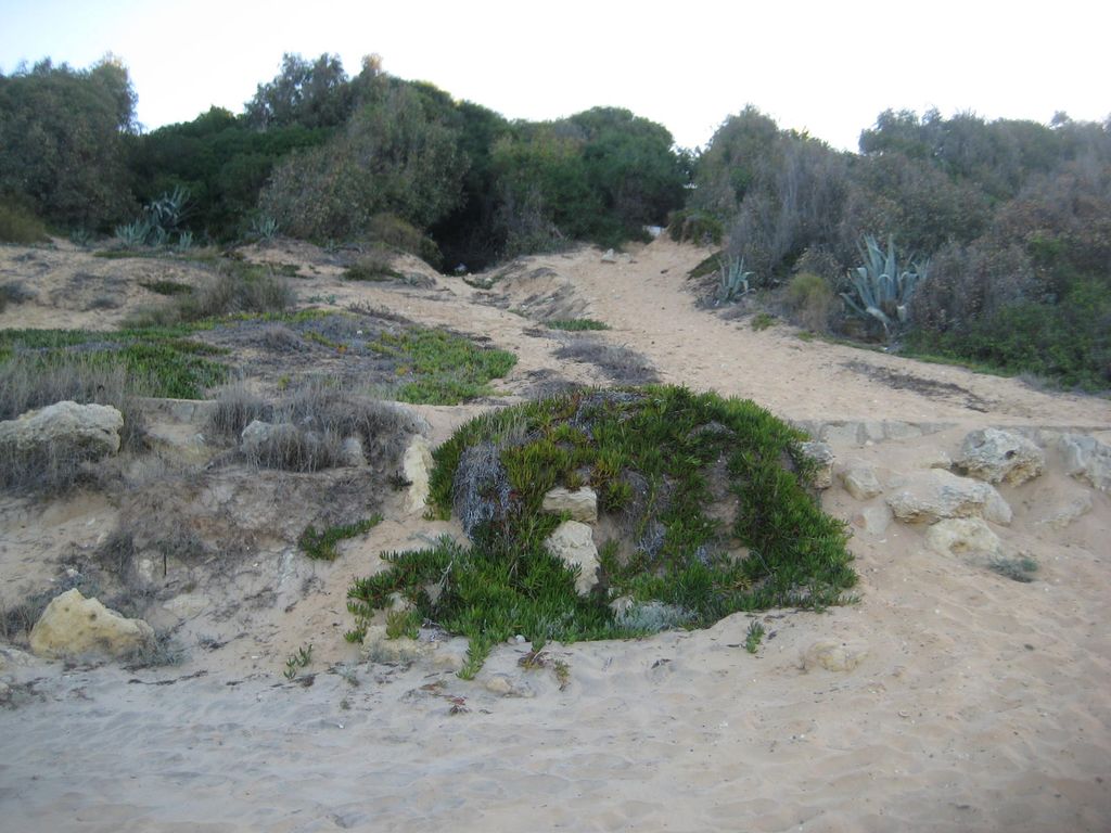 Acceso a la playa de Santa Catalina, zona El Ancla (Antes)