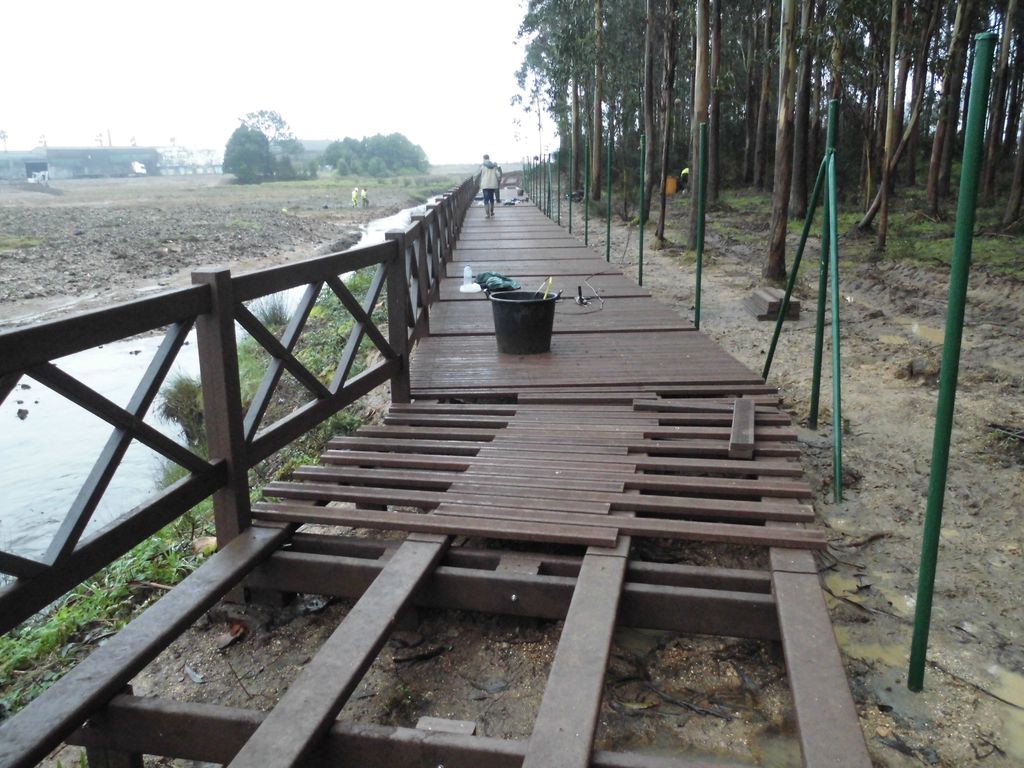 Regeneración ambiental de las marismas de A Xunqueira do Areal, Fase I. Durante