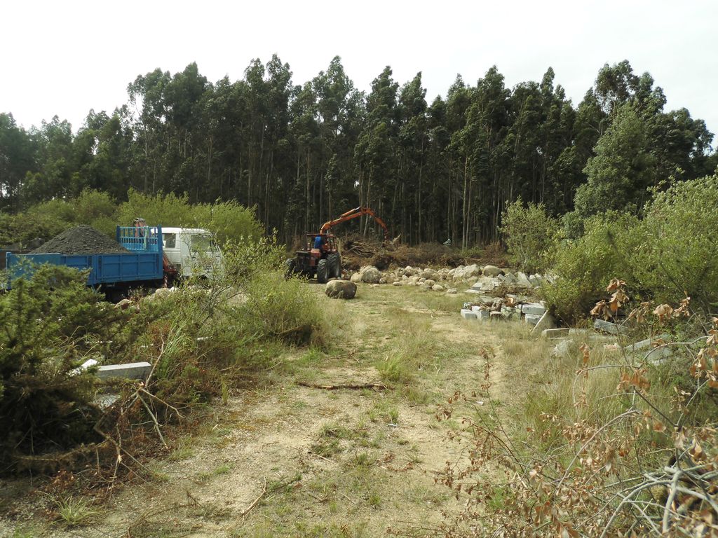 Regeneración ambiental de las marismas de A Xunqueira do Areal, Fase I. Durante