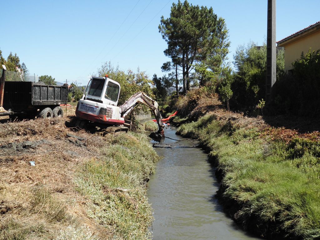 Regeneración ambiental de las marismas de A Xunqueira do Areal, Fase I. Durante