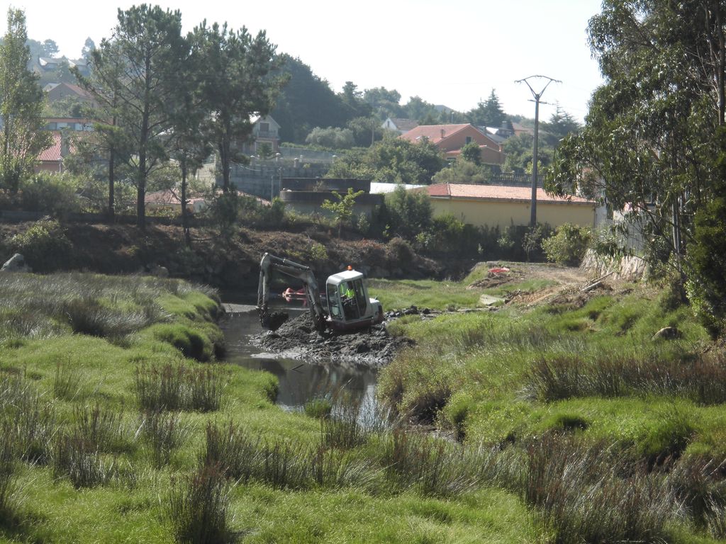 Regeneración ambiental de las marismas de A Xunqueira do Areal, Fase I. Durante