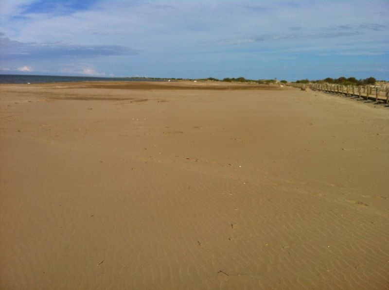 Reperfilado de la playa de Riomar (TM Deltebre. Después de las obras) 