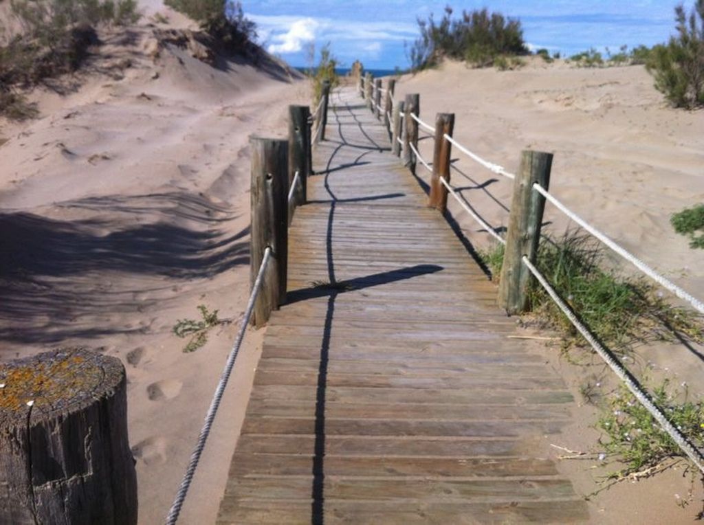 Reperfilado de playa Riomar (TM Deltebre. Después de las obras) 