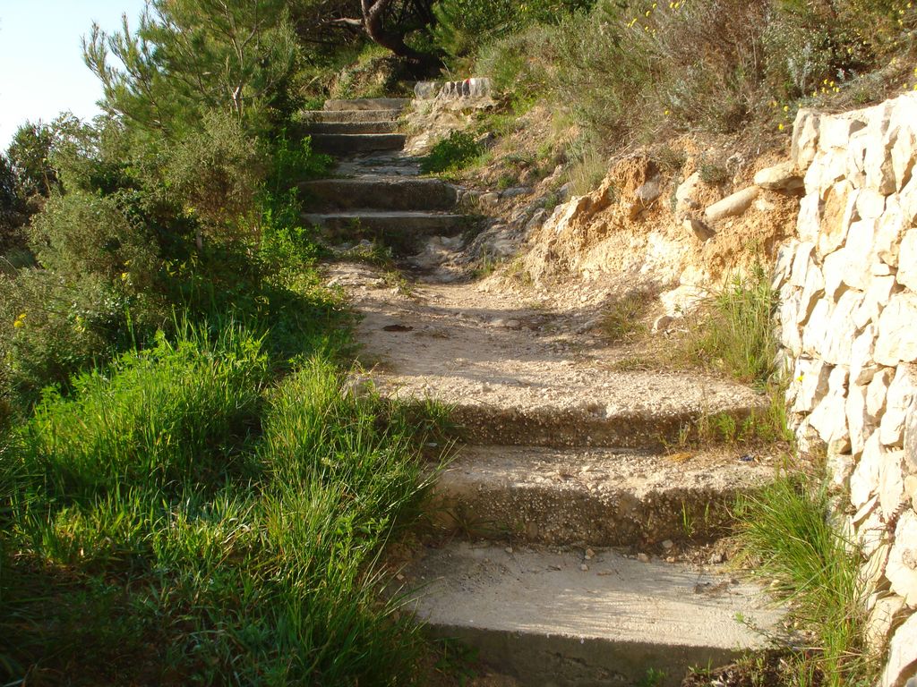 Actuaciones en la cala de l'Advocat (antes)