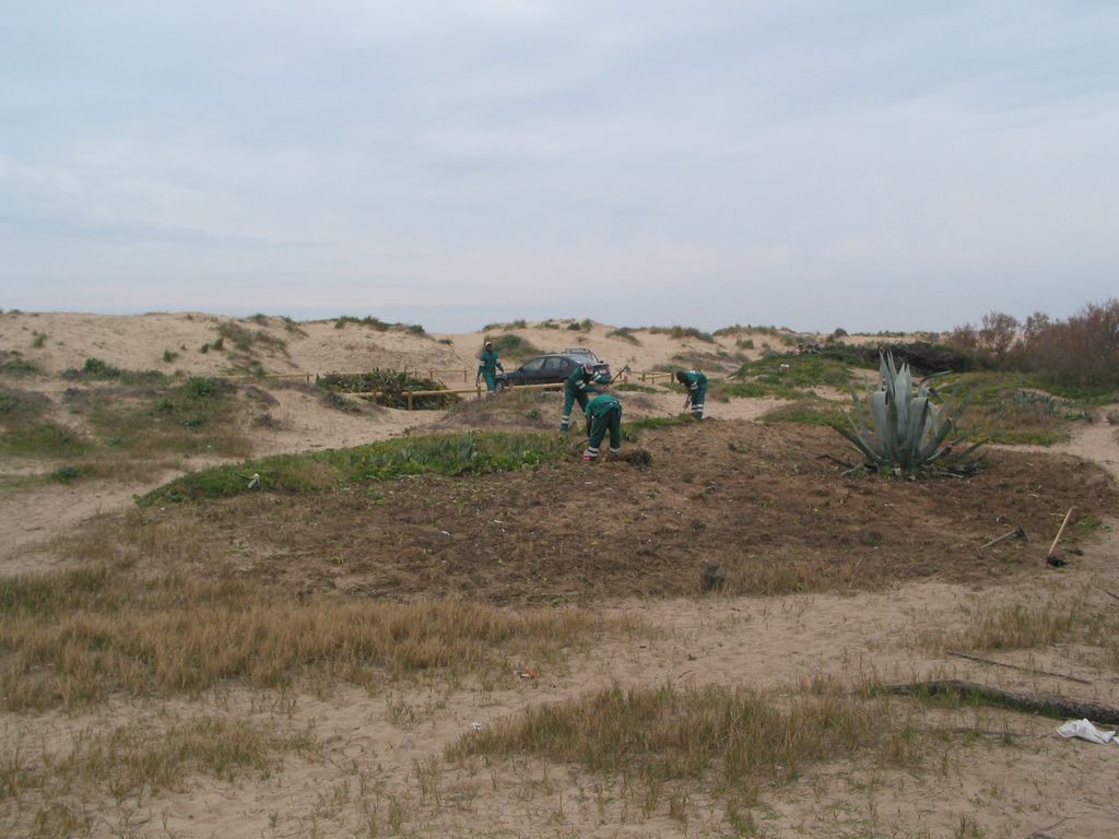 Durante las obras