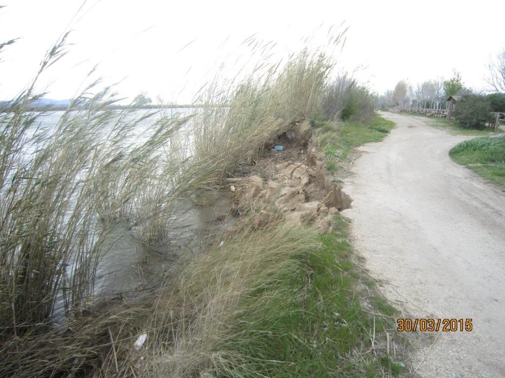 Reposición margen derecha del río Ebro, en Amposta (Antes de las obras)