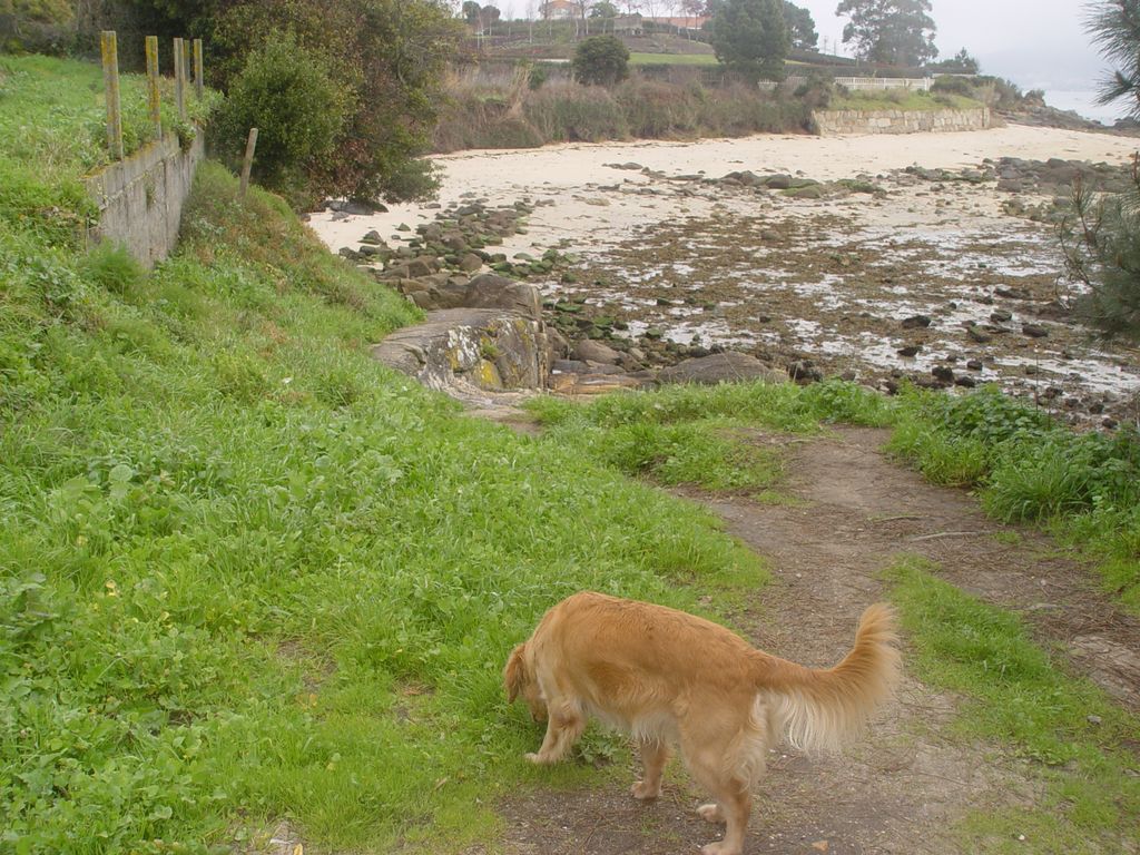 Acceso a la playa de los alemanes (T.M. de Cangas do Morrazo). Antes de las obras