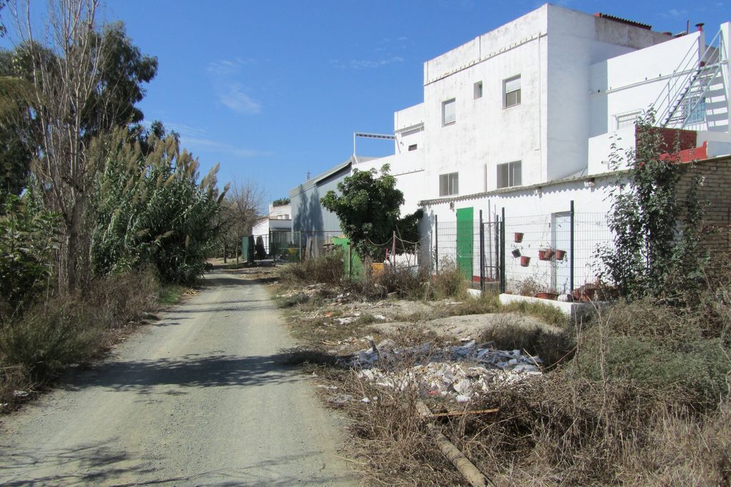 Antes de las obras (Desbroce y retirada de residuos en Isla Mayor (T.M. Isla Mayor))